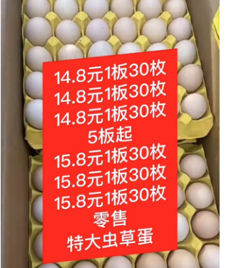 微信图片_202504171755503.png