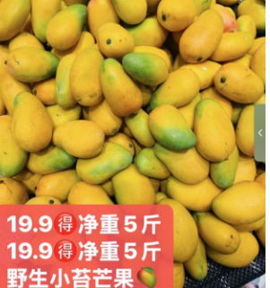 微信图片_202504171804203.png